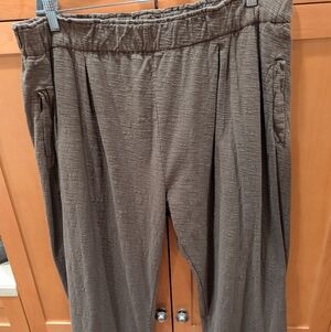 Iridium Crop Pants, 1X